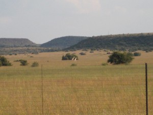 img_1286 The way home from the range today. Cool huh